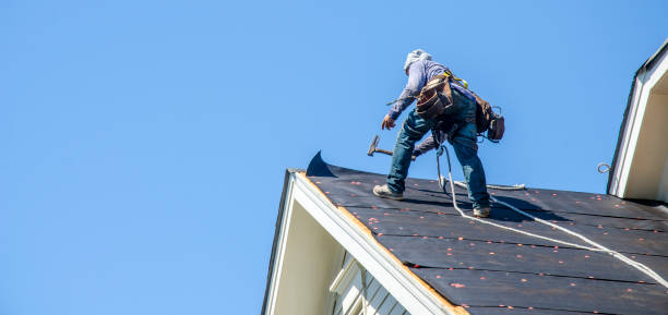 Best Roof Gutter Cleaning  in Hazel Dell, WA